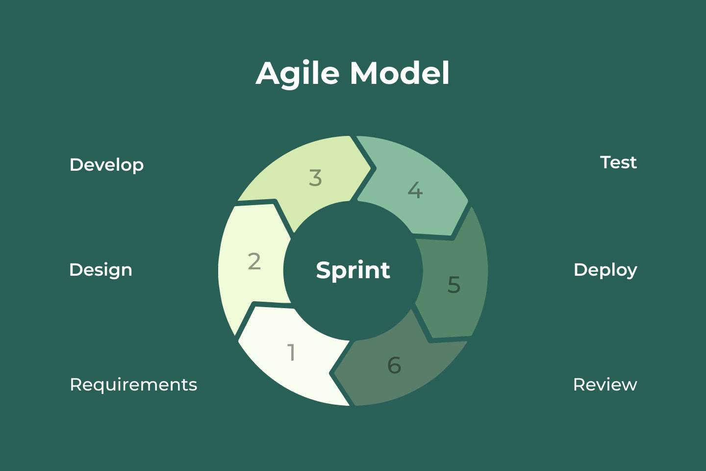 Agile-model